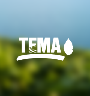 Мероприятие по Посадке Деревьев Фонда Тема